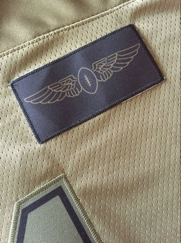 2019 Salute To Service jersey details 2