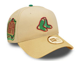 Boston Red Sox MLB Snapbacks Hats TX 10