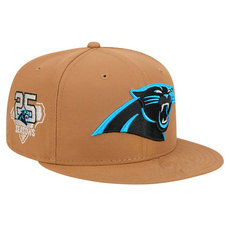 Carolina Panthers NFL Snapbacks Hats TX 03