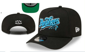 Carolina Panthers NFL Snapbacks Hats Ys 11