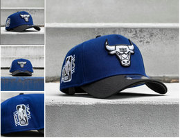 Chicago Bulls NBA Snapbacks Hats tx 07