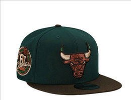 Chicago Bulls NBA Snapbacks Hats tx 15