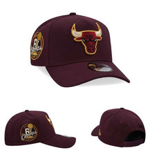 Chicago Bulls NBA Snapbacks Hats tx 19