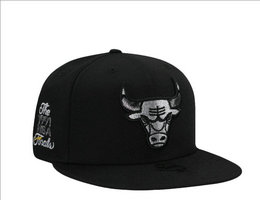 Chicago Bulls NBA Snapbacks Hats tx 24