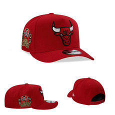 Chicago Bulls NBA Snapbacks Hats tx 39