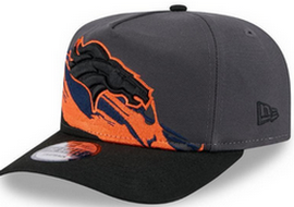 Denver Broncos NFL Snapbacks Hats tx 1