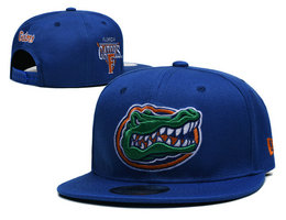 Florida Gators NCAA Snapbacks Hats YS 01