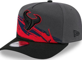 Houston Texans NFL Snapbacks Hats tx 6