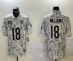 Nike Chicago Bears #18 Caleb Williams 2024 Salute to Service Authentic Stitched NFL Jersey