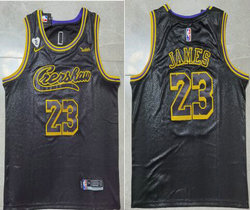 Nike Los Angeles Lakers #23 Lebron James Black City Singer Snake Mamba Authentic Stitched NBA Jersey