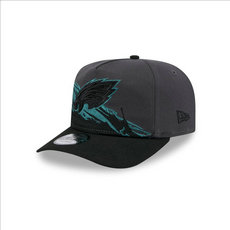 Philadelphia Eagles NFL Snapbacks Hats tx 05