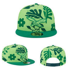 Philadelphia Eagles NFL Snapbacks Hats tx 07