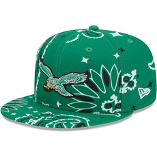 Philadelphia Eagles NFL Snapbacks Hats tx 20