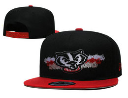 Wisconsin Badgers NCAA Snapbacks Hats YD 1