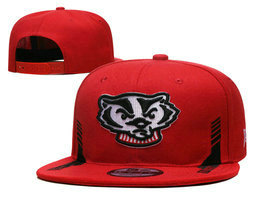 Wisconsin Badgers NCAA Snapbacks Hats YD 2