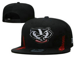 Wisconsin Badgers NCAA Snapbacks Hats YD 3