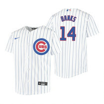 Youth Nike Chicago Cubs #14 Cubs Ernie White Authentic Stitched MLB Jersey